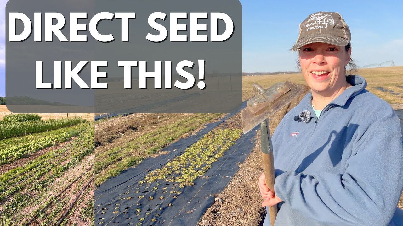 Direct Seed THIS Week—Here’s How