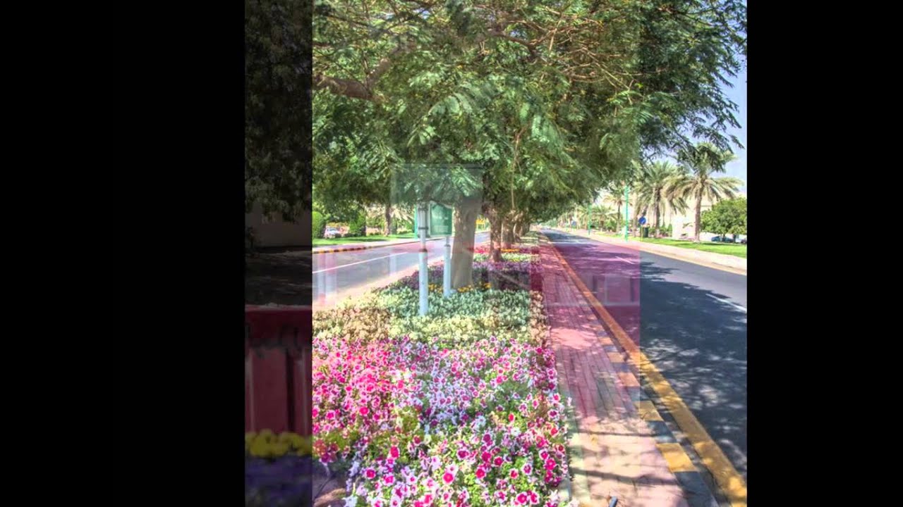 RC Yanbu Smart City project