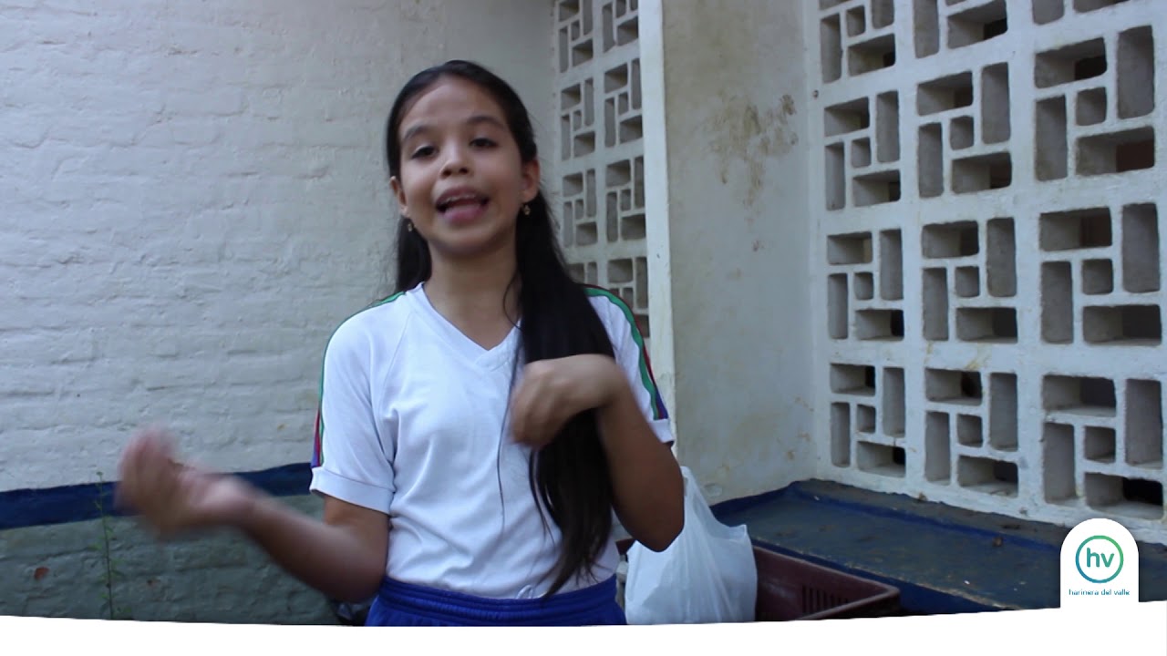 Huerta Escolar - Institución Educativa Politécnico Municipal de Cali