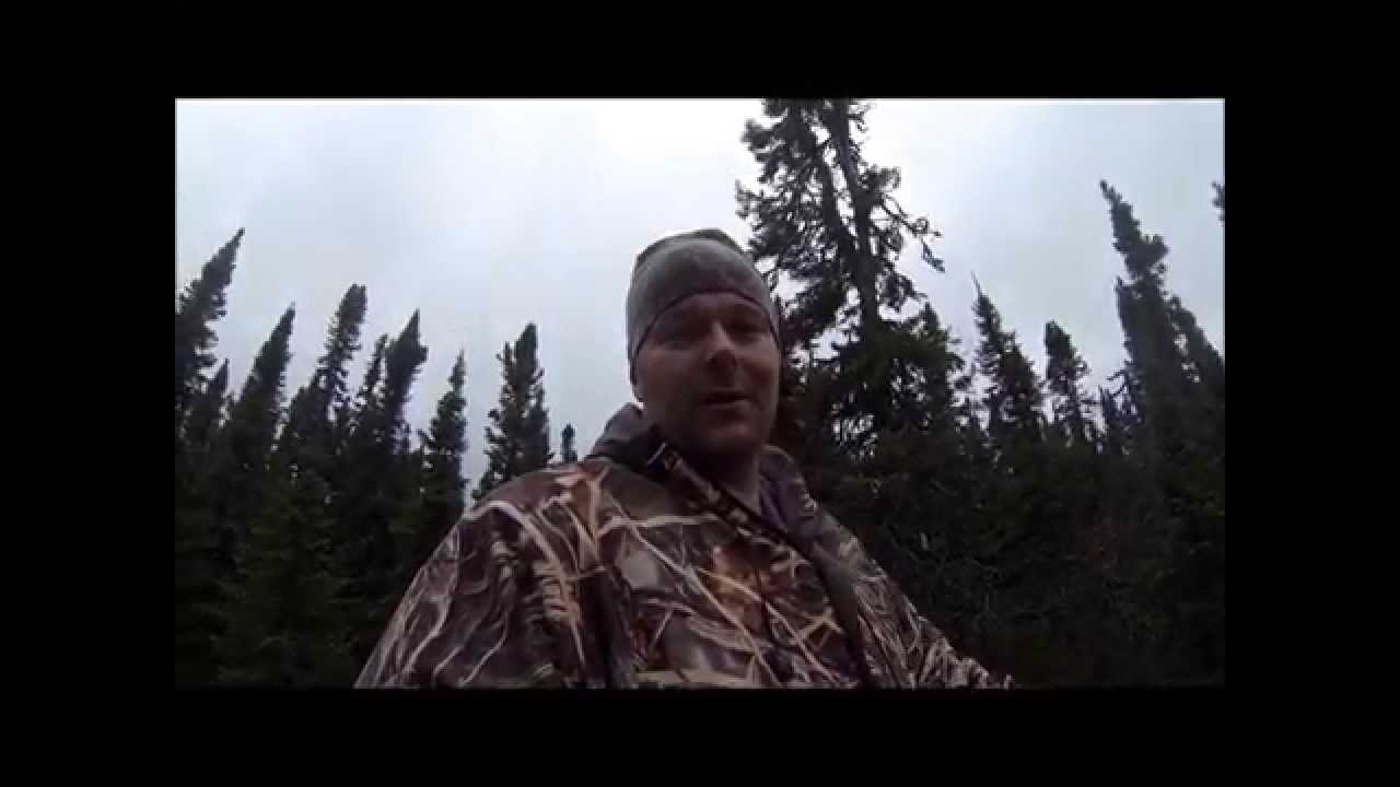 Cabin & Trapping Update + Wolf Sighting