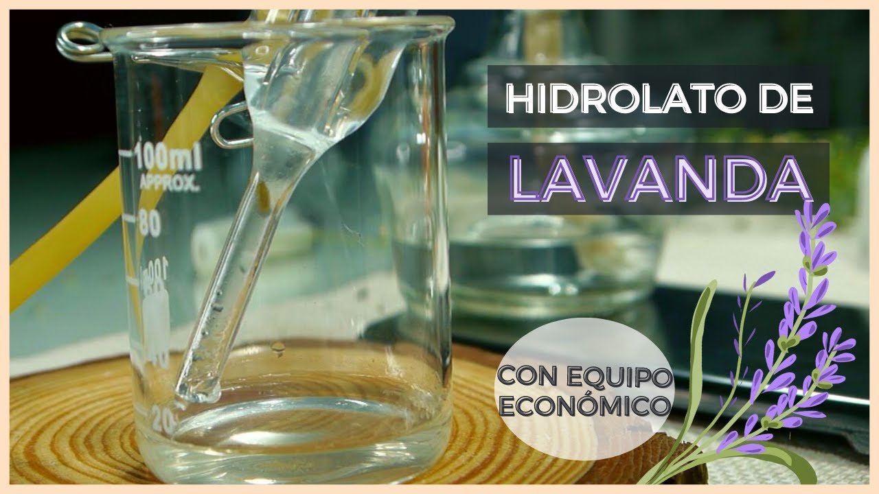 Cómo hacer HIDROLATOS DE PLANTAS en CASA 🌼💧 Agua floral