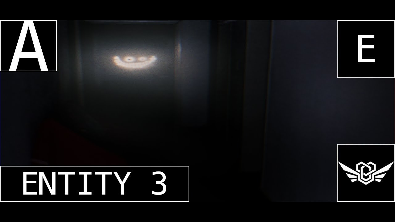 Entity 3 