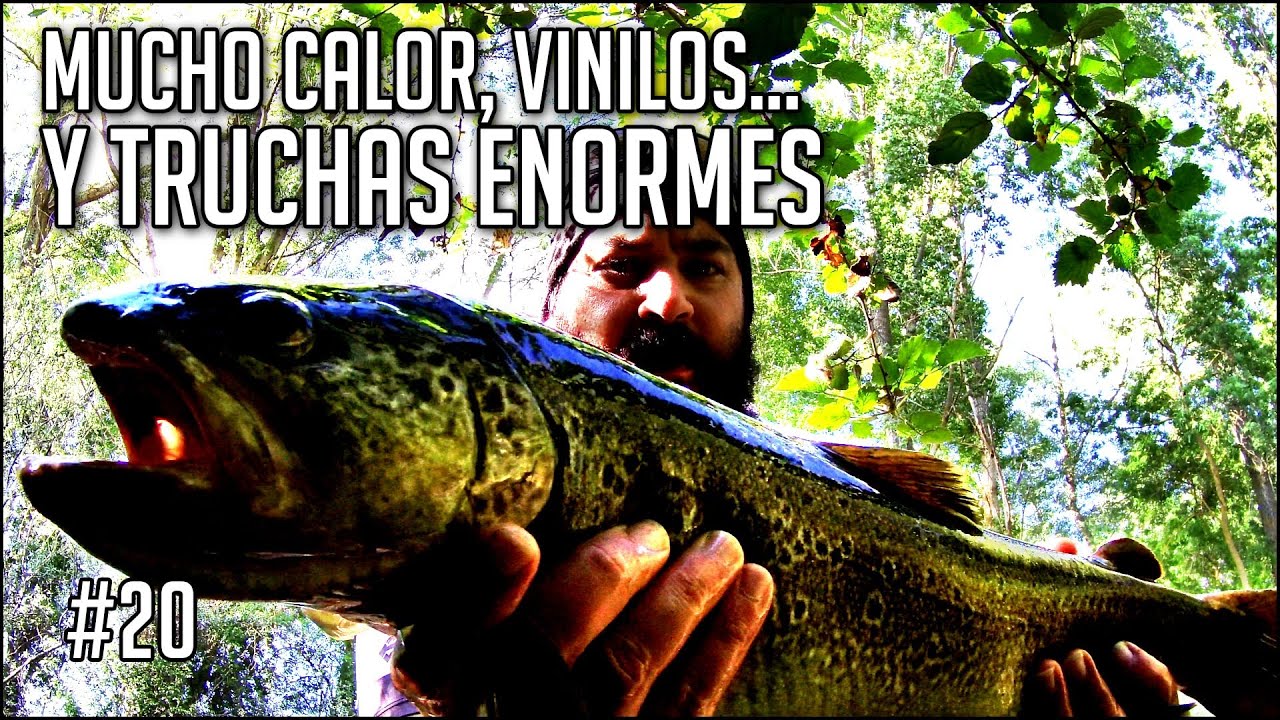 Mucho Calor, Vinilos y Truchas Enormes | Truchas a vinilo Mayo 2022