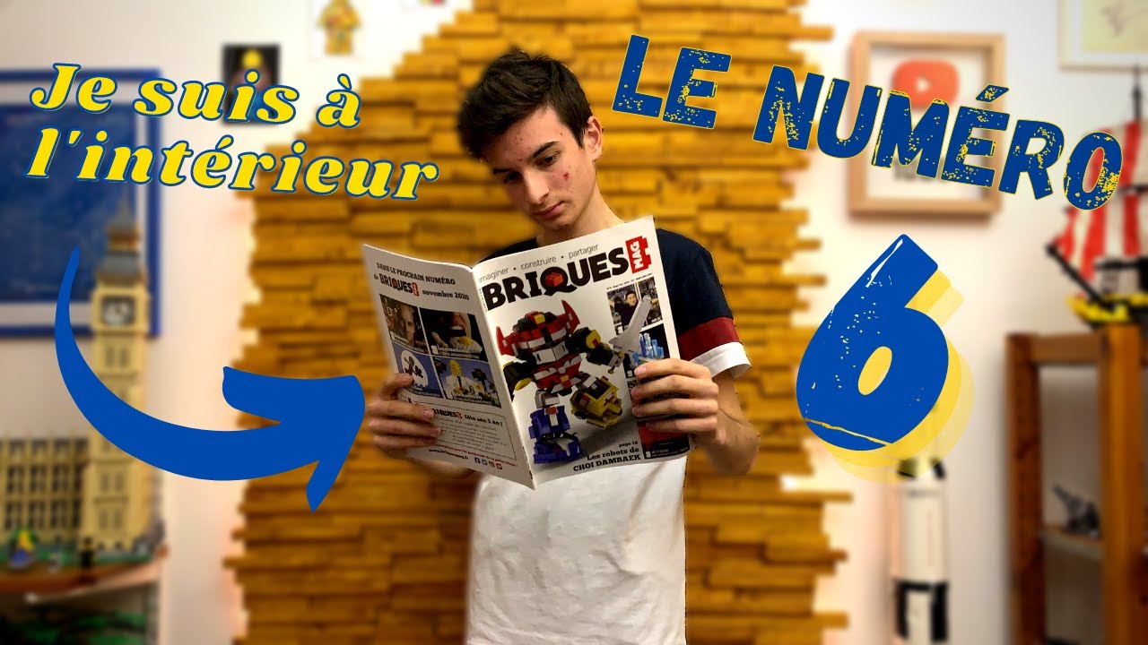 Je suis dans le magazine ! BRIQUES MAG 6 | review |