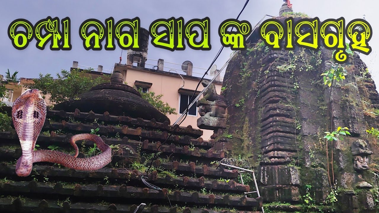 ଚମ୍ପା ନାଗଙ୍କ ବାସଗୃହ. ରାଜଧାନୀର ଏକ ଲୁକାୟିତ ଶିବ ମନ୍ଦିର.
