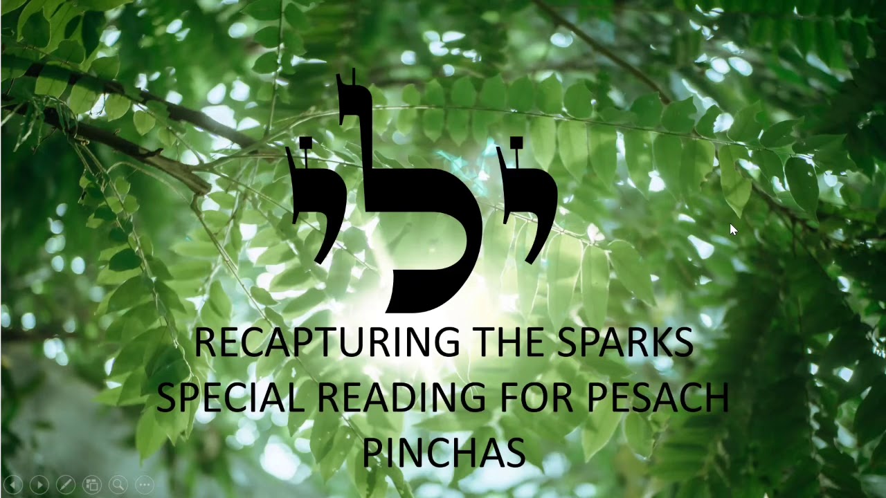 Happy day Light warriors!!! Daily ZOHAR reading special for pesach 707-710 Love & Light