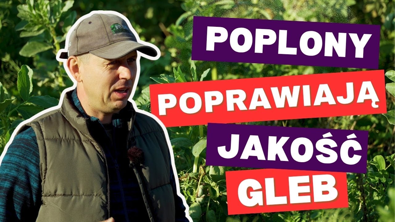POPLONY poprawiają jakość GLEB! Relacja z gospodarstwa Bartosza Łasicy | e-pole