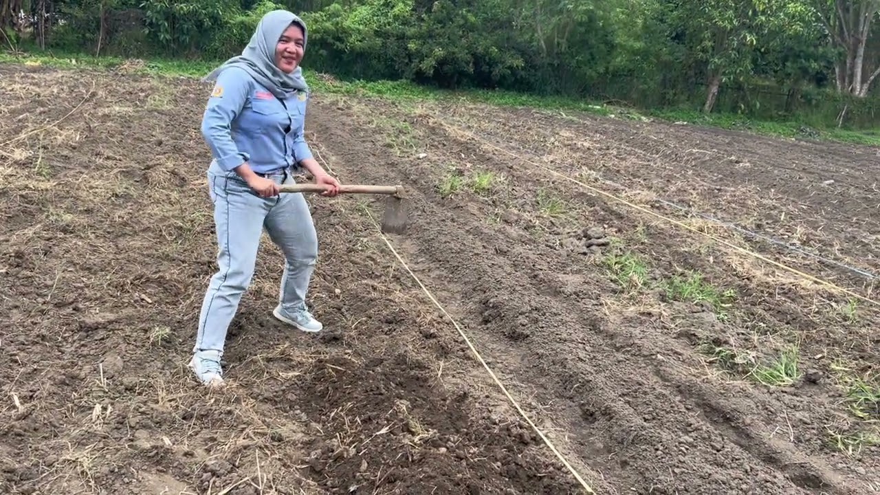 Praktik Lapangan Minggu ke-1 / Aisyah Niken Shoreana_05011282328056