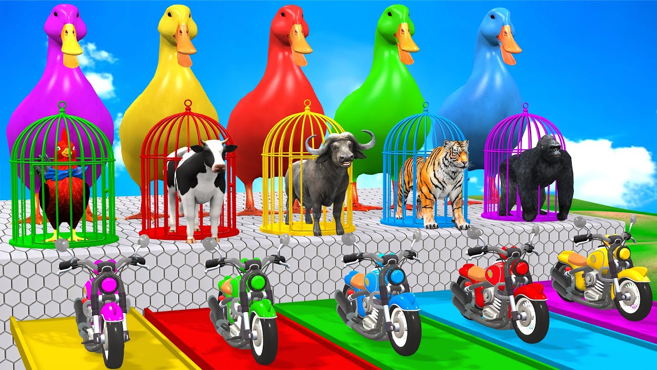 Long Slide Game With Cow Elephant Gorilla Hippopotamus Tiger 3d Animal Game Funny 3d Animals