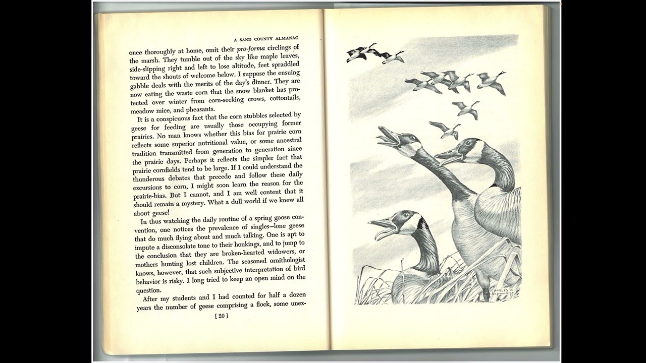 The Geese Return (March Reading and Reflection)