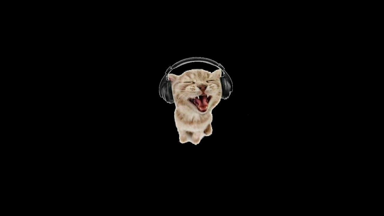 Random edit audios w/ timestamps because spring is here 🌸