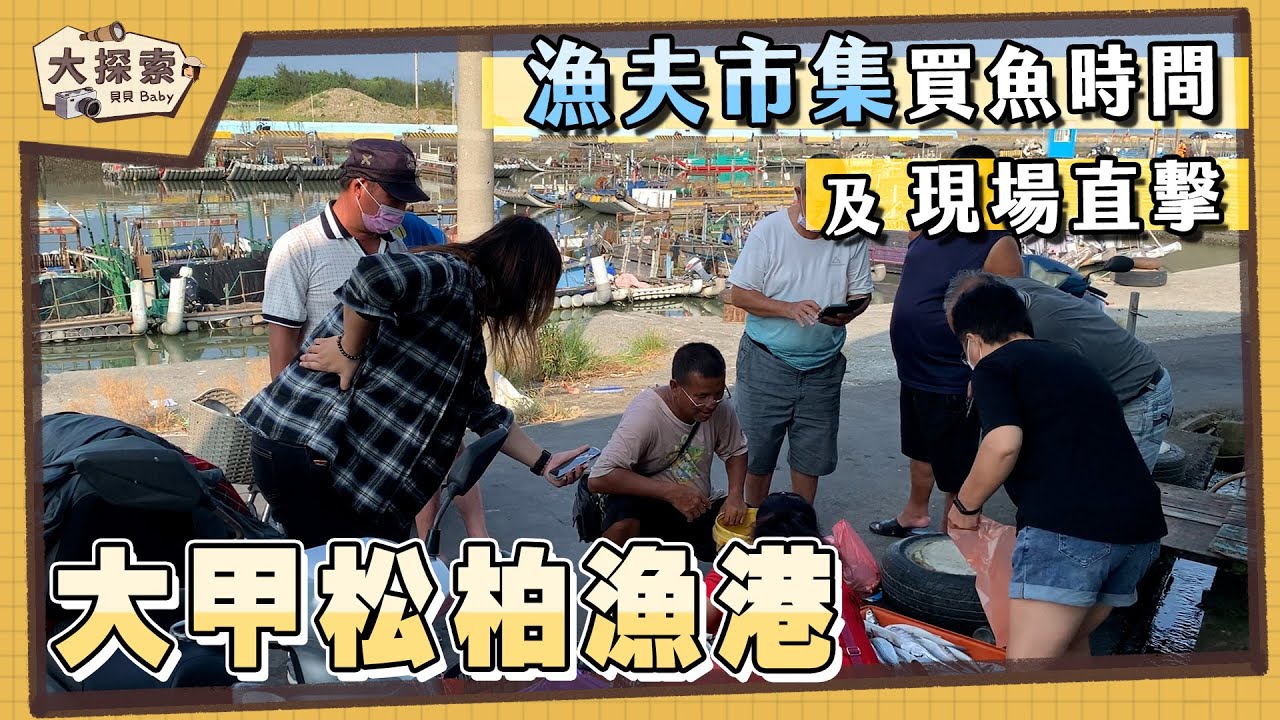 【漁港走透透】#46 大甲松柏漁港買魚時間及實況｜Fishing Port & Seafood ｜ EP_140