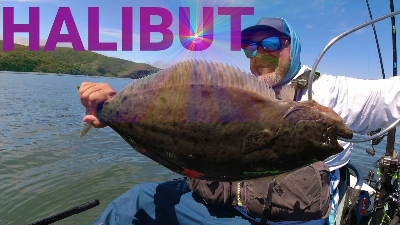 First Tomales Bay Halibut off a kayak