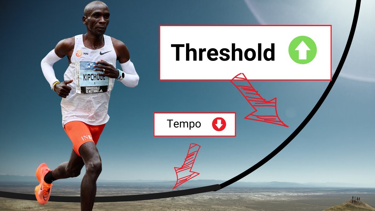 Лактатный порог и темповый бег — НАУКА о тренировочных зонах