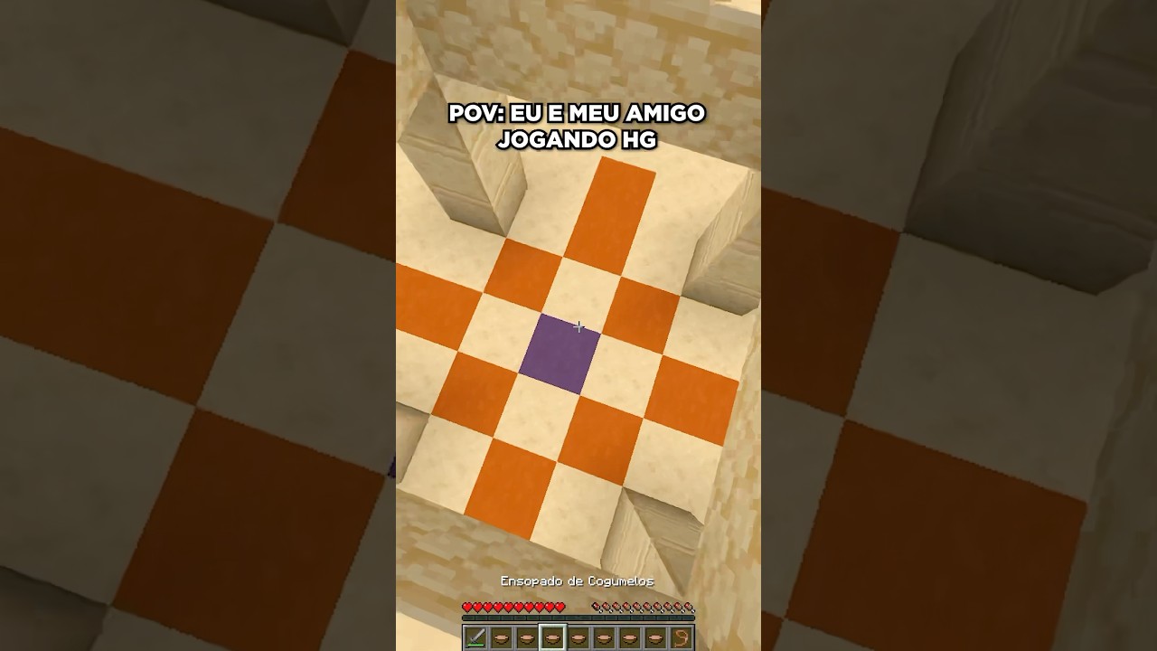 que? #minecraft #hg #minecraftmemes