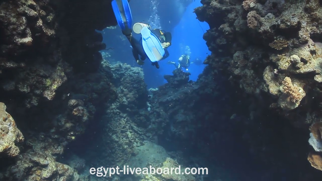 Malahi Dive Site South Red Sea - Egypt Liveaboard