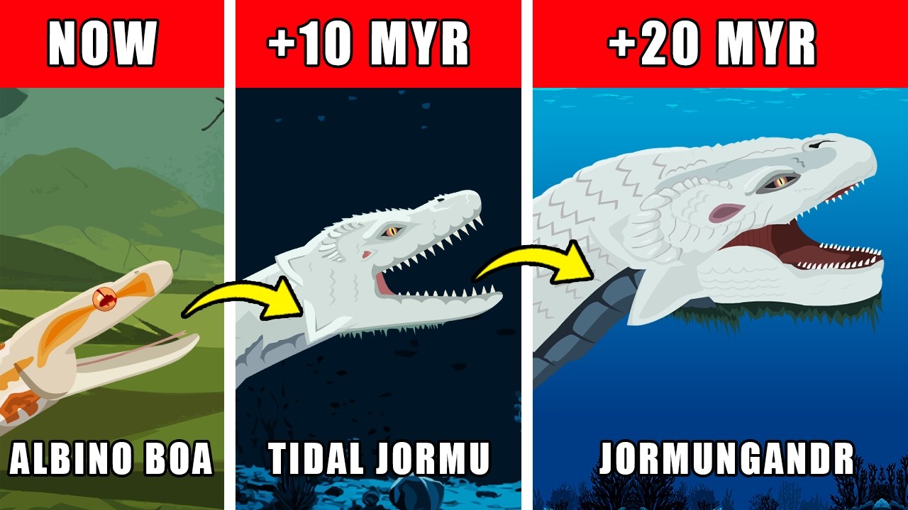 Jörmungandr (World Serpent) Origin Evolution : How Jormungandr Could Have Evolved