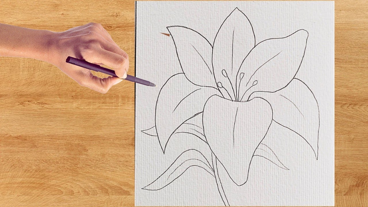 Como Desenhar uma Flor Lírio fácil