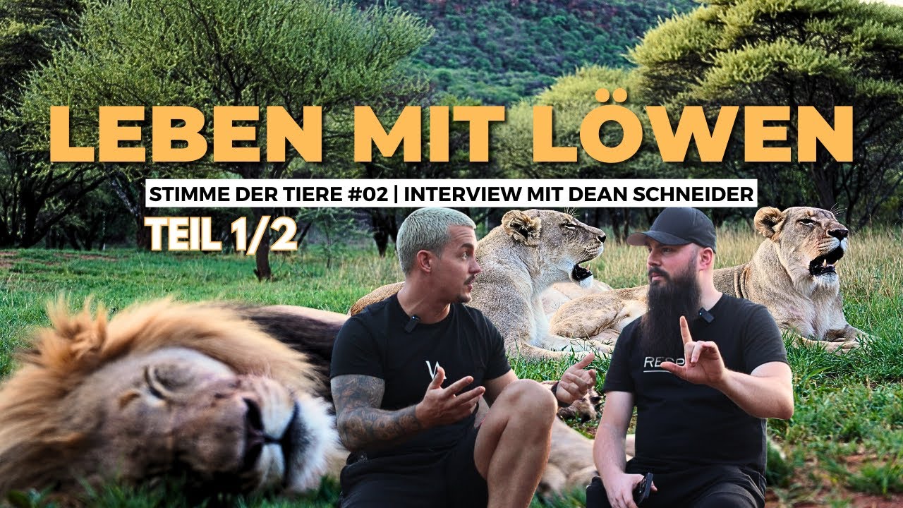 Leben mit Löwen! 🦁 Dean Schneider im Interview (Teil 1)