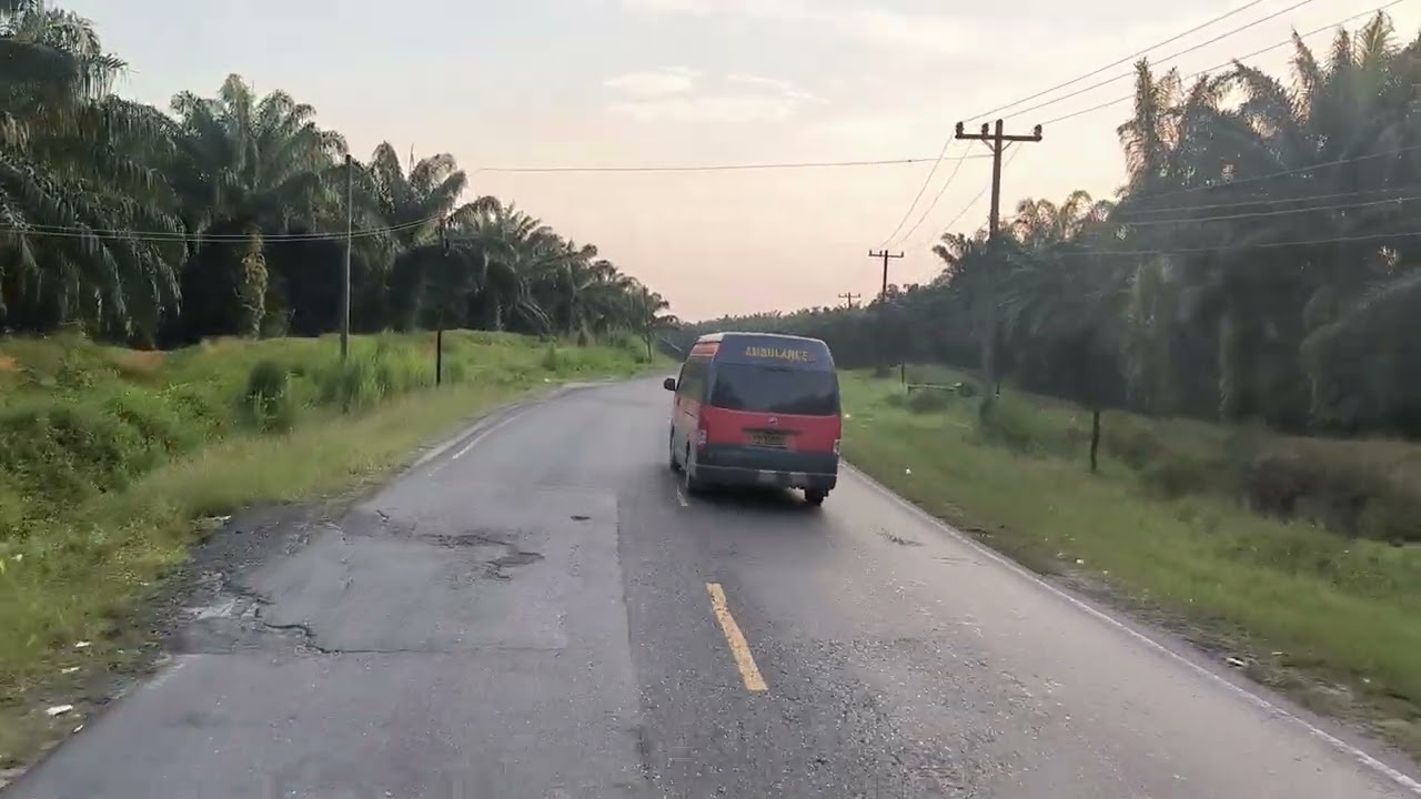 kebun Sawit 