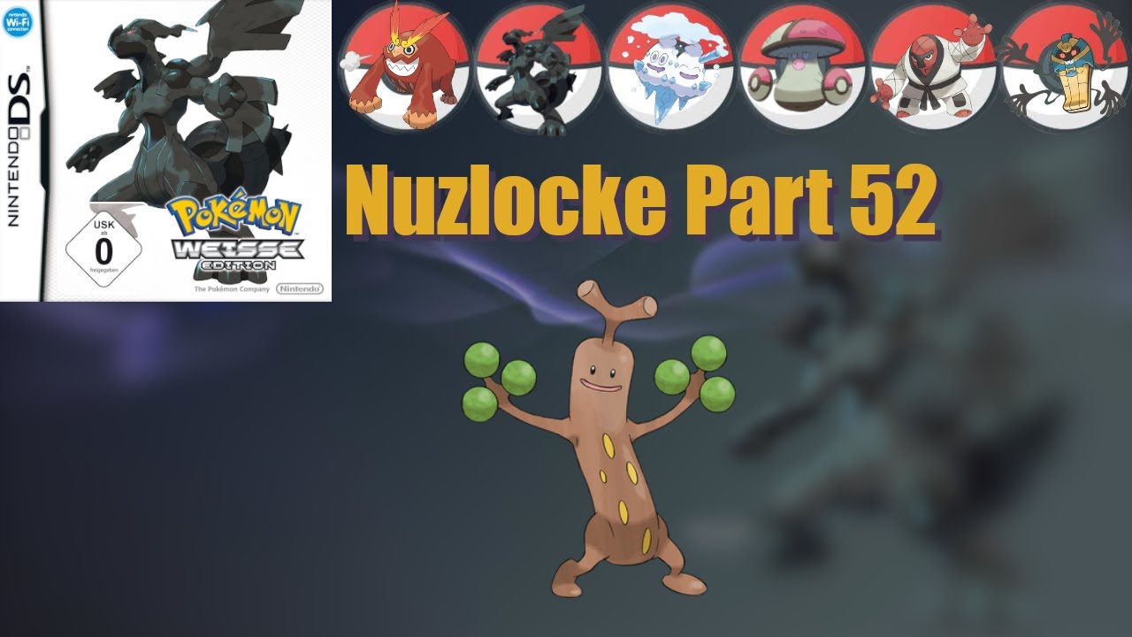 Die HÖHLE der SCHULUNG! Pokemon Weiss Nuzlocke Part 52