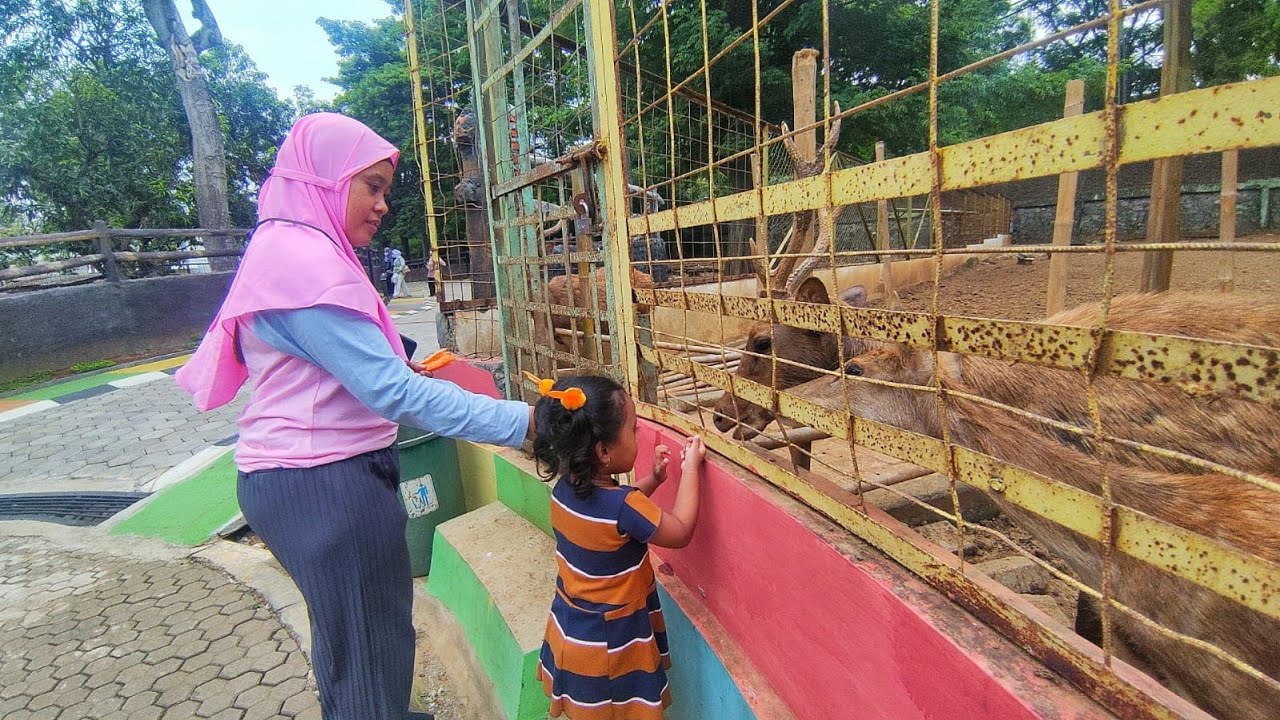 Keseruan Bermain di PlaPlay Semarang Zoo