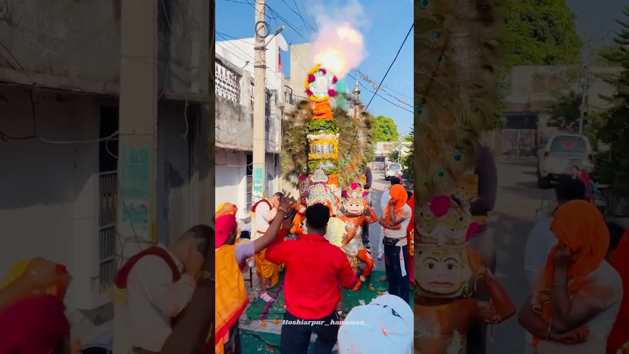 Hanuman jayanti hoshiarpur || Hoshiarpur hanuman ji || Hoshiarpur Dussehra || 2024/2025/2026 || dhol