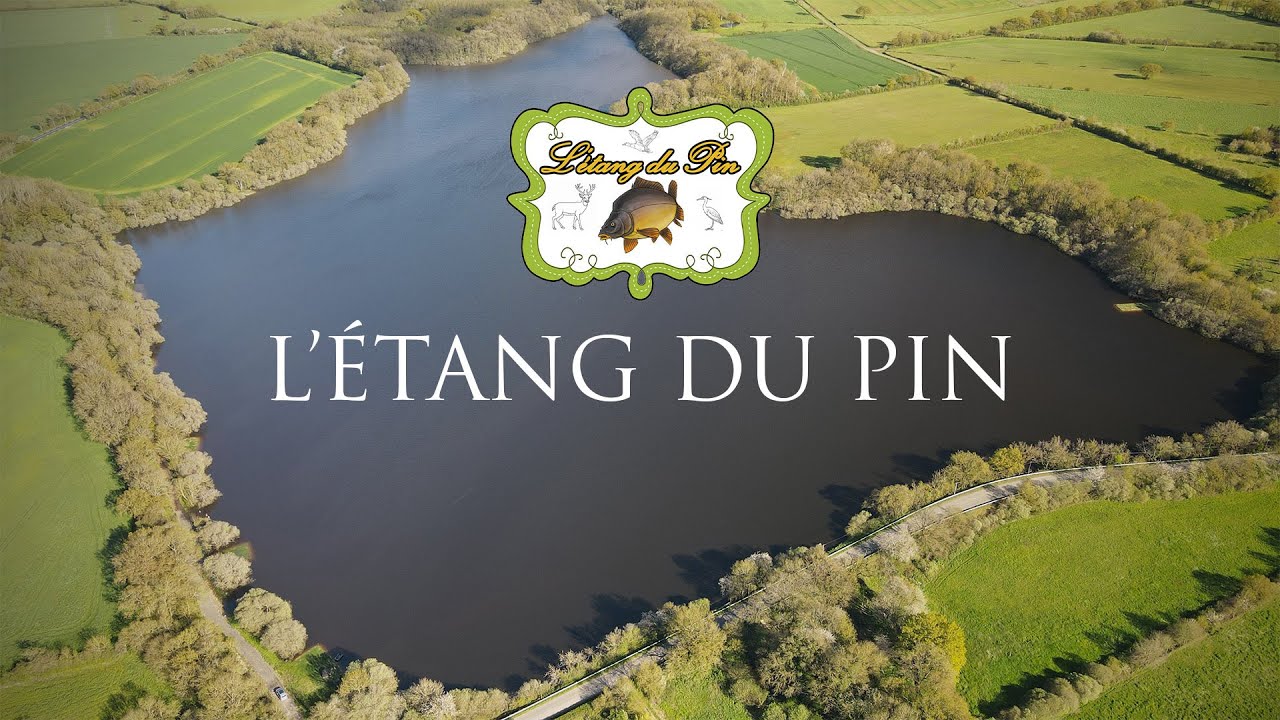 L'étang du PIN - Pêche à la carpe