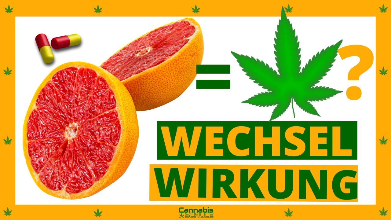 Enth&uuml;llt! CBD und Wechselwirkungen mit Medikamenten - was haben CBD und Grapefruits gemeinsam?