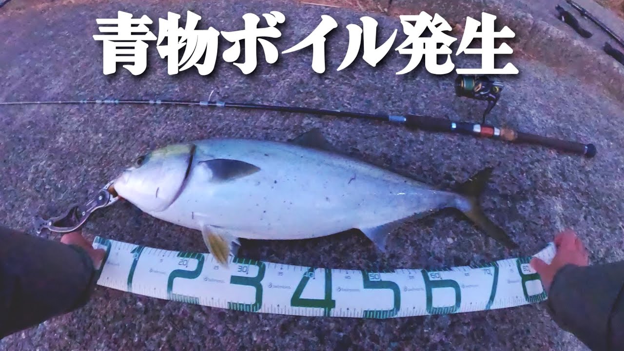 ボイルに投げたら一撃