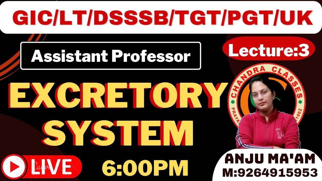 LECTURE 3 || EXCRETORY SYSTEM || BY ANJU MAM