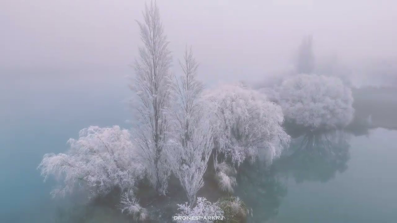 Hoar Frost 🥶 in Twizel - New  Zealand