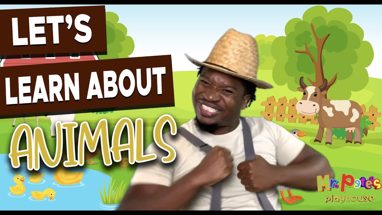 Learn about Animals for kids| Animal songs for kids| Old Mcdonald songs for kids| farm animals kids