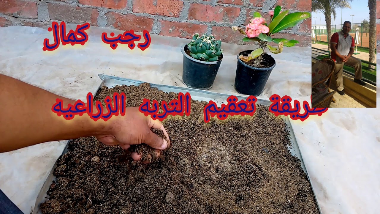 أسهل طريقتين لتعقيم التربة الزراعيه