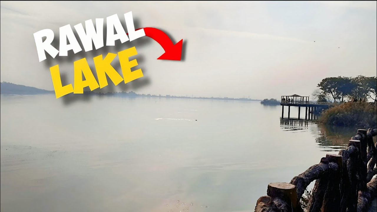 What's REALLY Happening in Our Second Vlog!