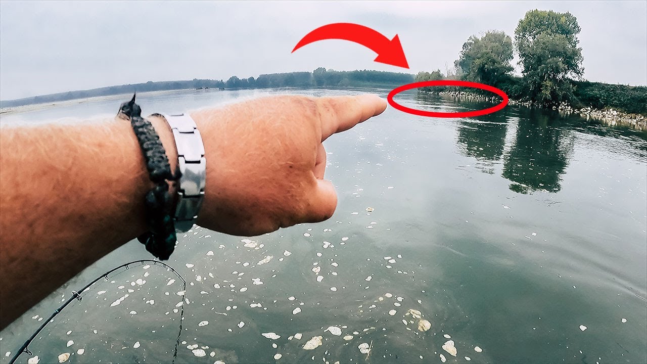 HIER fängst du WALLER, wenn es nirgendwo beißt