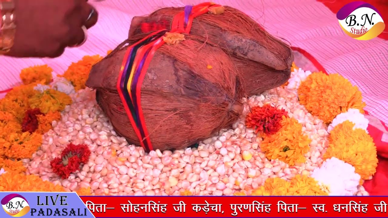12 घंटे का रात्रि जागरण चामुंडा माता जी बोरड नामेरी अर्जुन सिंह नारायण सिंह भाग 8