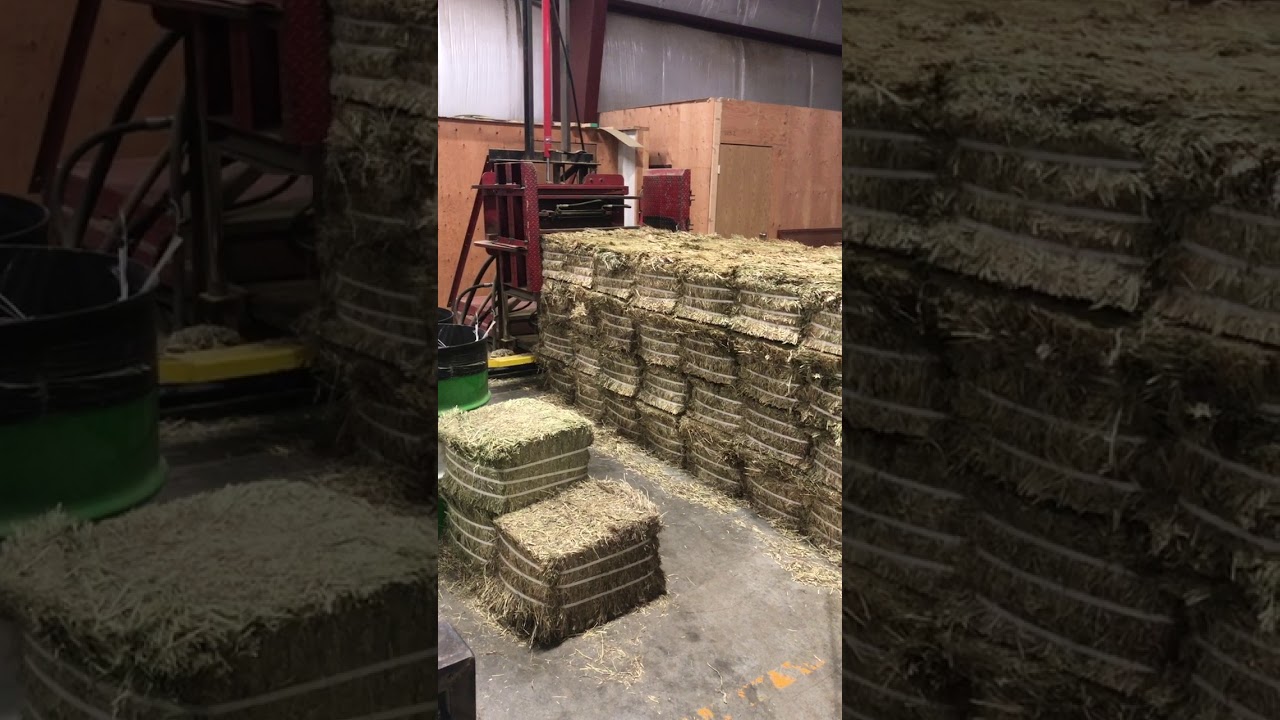 Hay press production