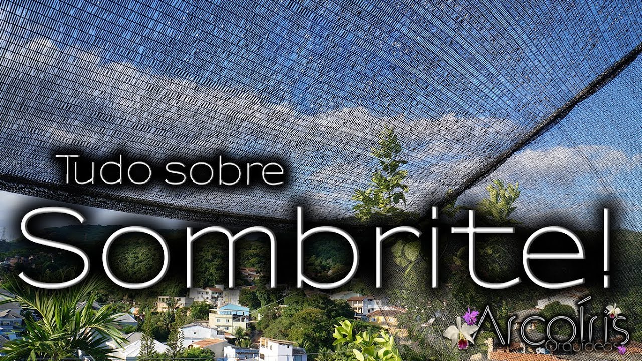 🌿🏳‍🌈💚 SOMBRITE, tudo sobre!!! - Eng.Subt 🌿 ArcoÍris de Orquídeas 🌿