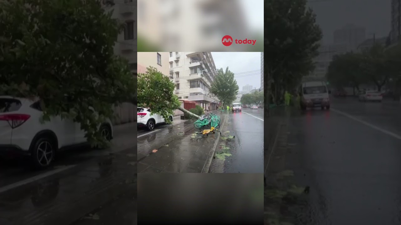 Shanghai cleans up after strongest storm in decades hits Chinese megacity