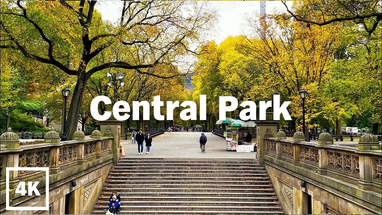 4K/HDR 🎧 Walking Through Fall Color in Central Park