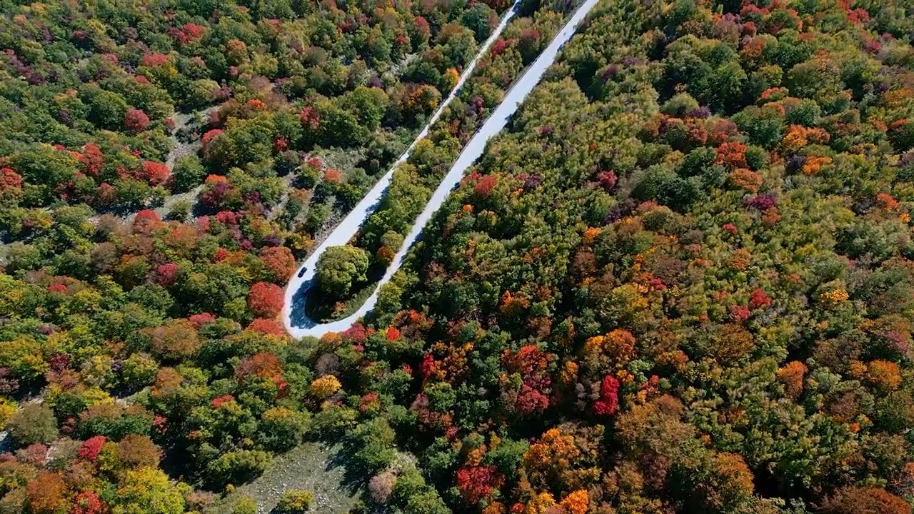 Autunno dal cielo: la bellezza dei colori della natura con riprese aeree del foliage (remake).