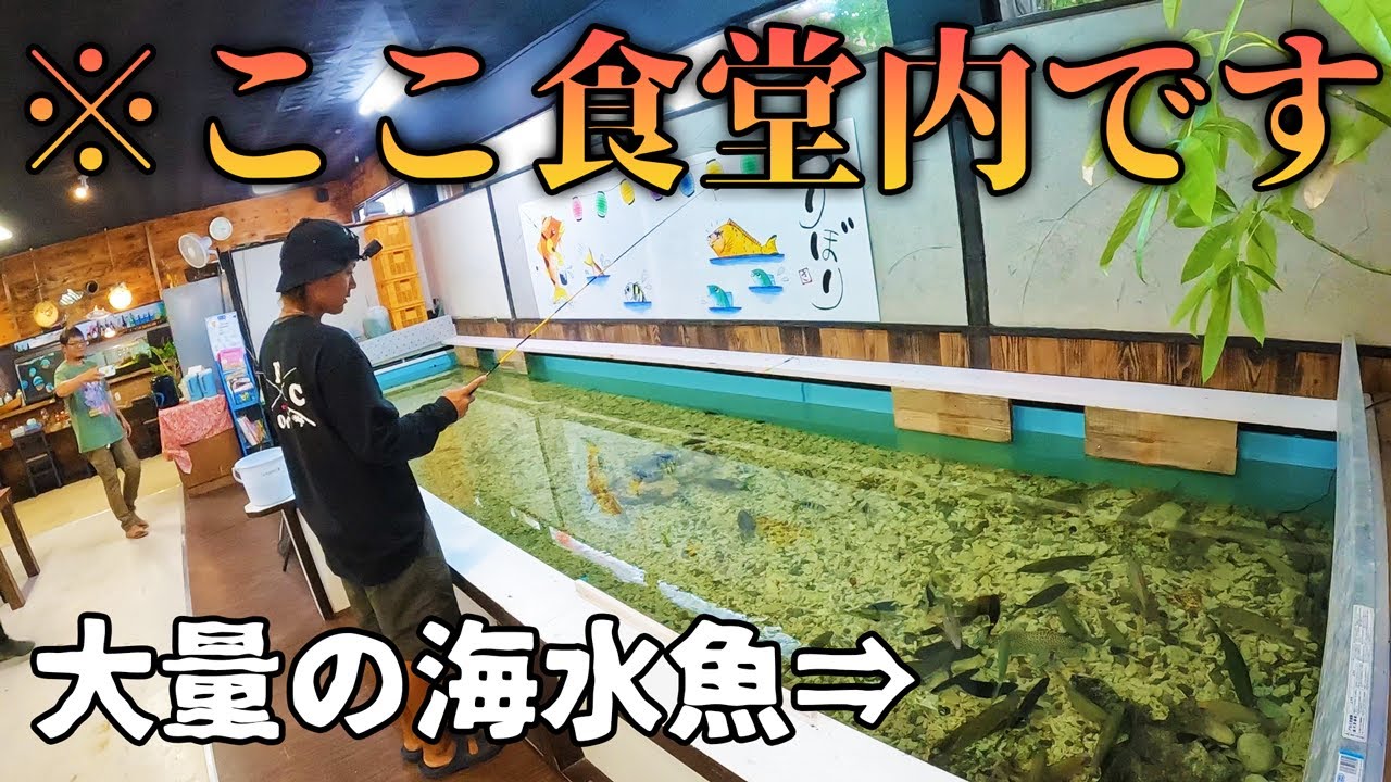 食堂の海水魚釣ってみた