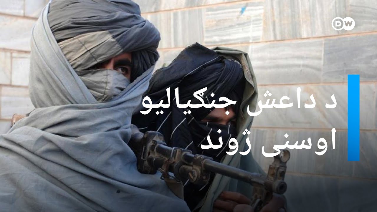 د داعش پخواني جنګیالي اوس څه کوي؟