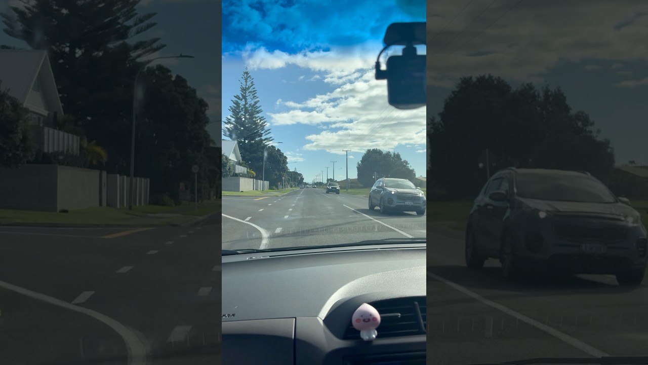 🇳🇿Newzealand Drive #타우랑가 #tauranga