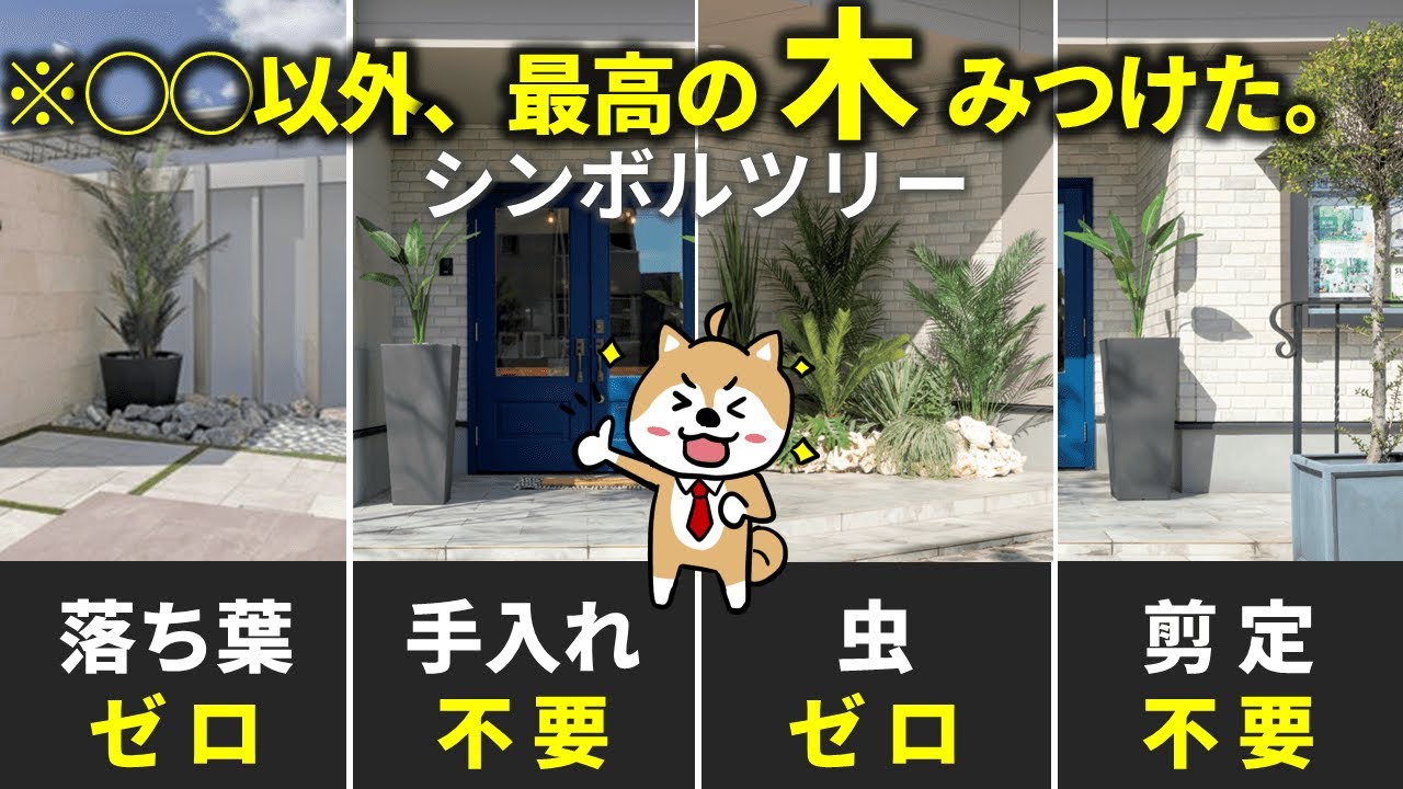 葉が落ちない木、1年中放置OK！お手入れ不要のシンボルツリー5選