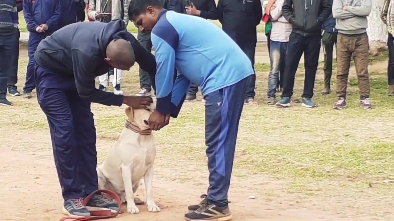 Dog Squad का हैरान कर देने वाला कारनामा 😱 | Bihar Police | Gandhi Maidan | Explore with Uttam