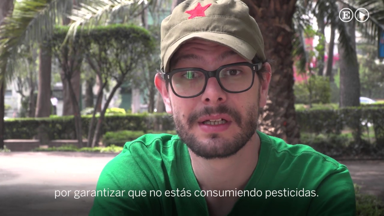 Las voces de la legalización del cannabis | México