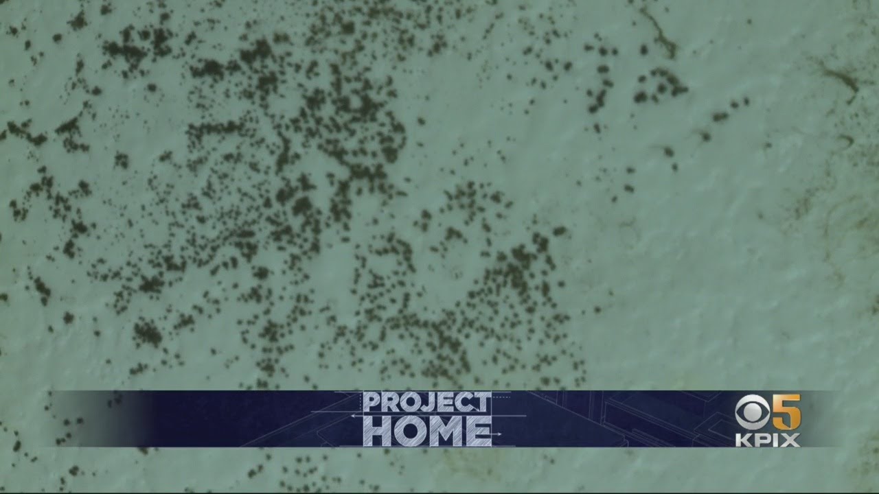 Heart Transplant Patient Worries Her Affordable Housing Is Compromising Her Health