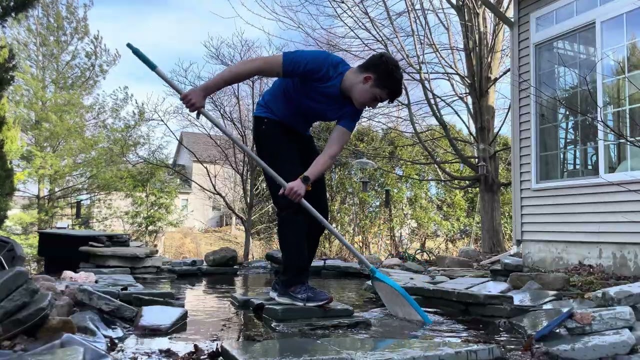 Just trying to dig leaves out of pond before spring